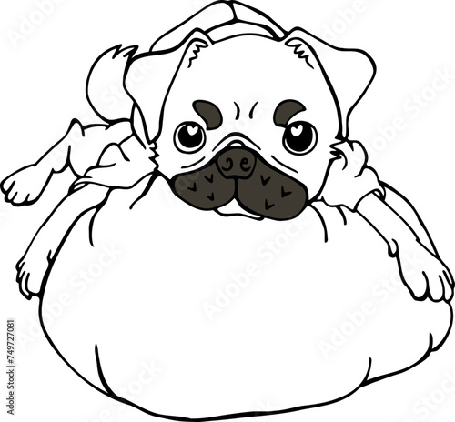 A dressed pug stares at its owner on a cushion  Line drawing illustration  Vector
