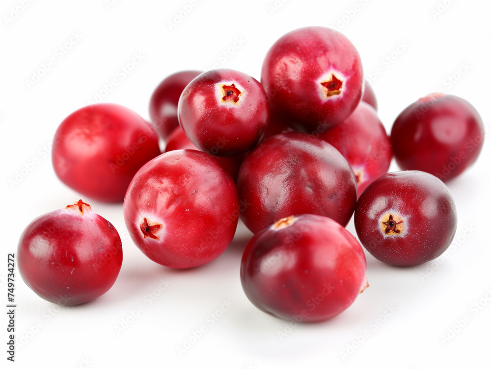 Cranberry isolated on a white background Cranberry isolated on a white background