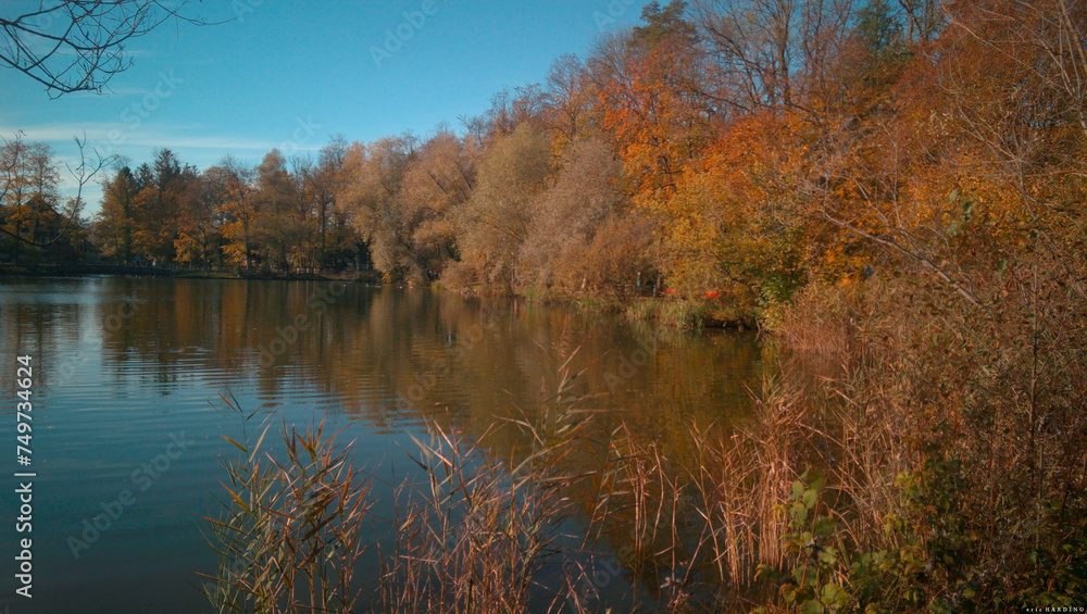 Outono na lagoa
