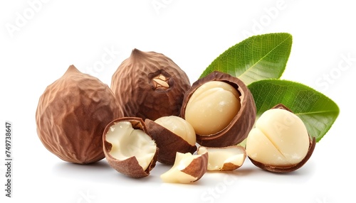 The fresh macadamia nuts with leaf isolated on white background photo