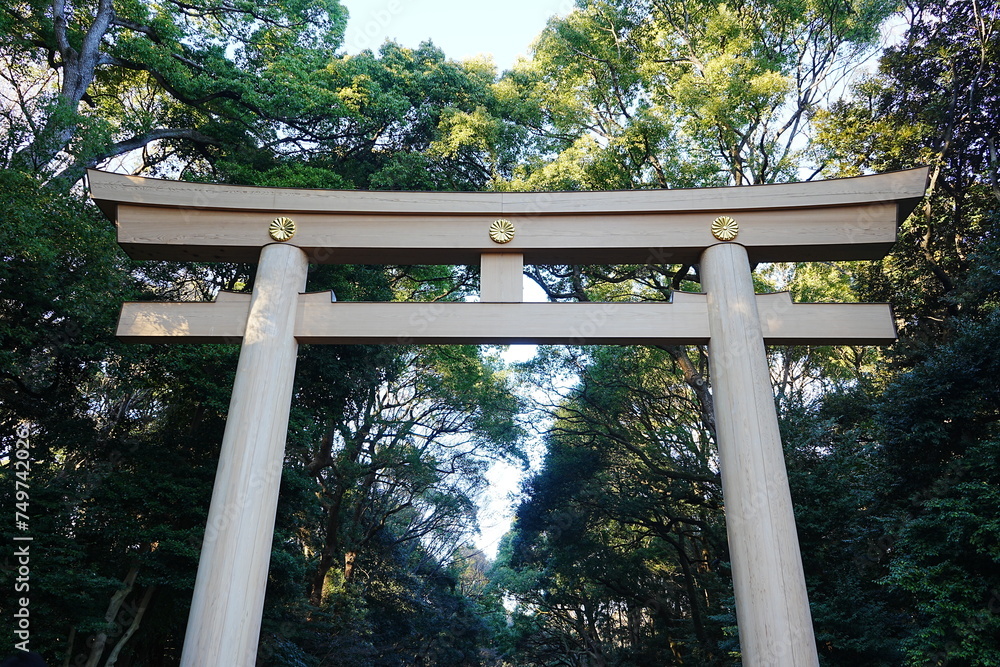 Torii Gate of Meiji Jingu in Japan - 日本 東京 明治神宮 鳥居