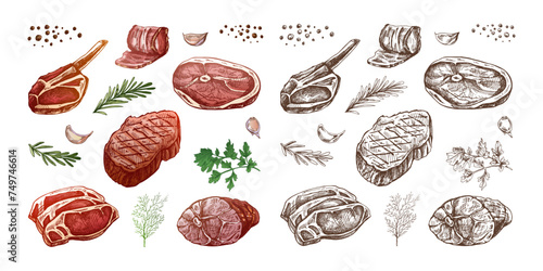 Set of hand-drawn colored and monochrome sketches of barbecue meat pieces with herbs and seasonings. For the design of the menu of restaurants and cafes, steaks. Vintage doodle illustration.