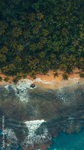 Caribbean beach in the paradise