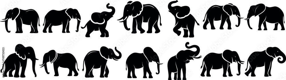 Fototapeta premium Elephant silhouette