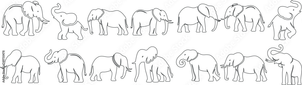 Fototapeta premium Elephant line art, minimalist elephant design, elegant sequence, showcasing movement, grace. Intricate artwork, beautifully crafted elephant outline