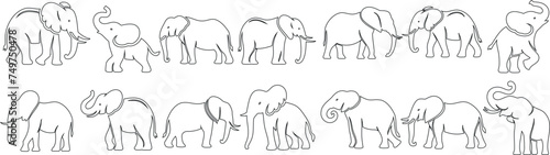 Elephant line art, minimalist elephant design, elegant sequence, showcasing movement, grace. Intricate artwork, beautifully crafted elephant outline
