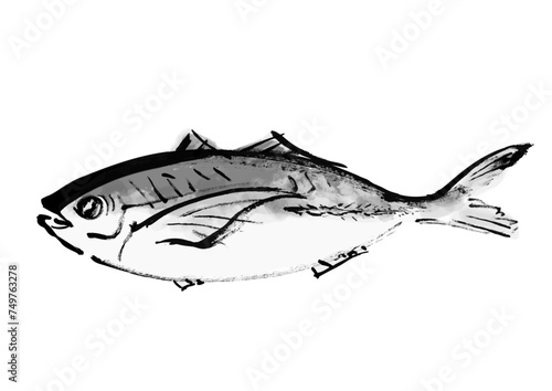 魚（鯵）の和風手書きイラスト