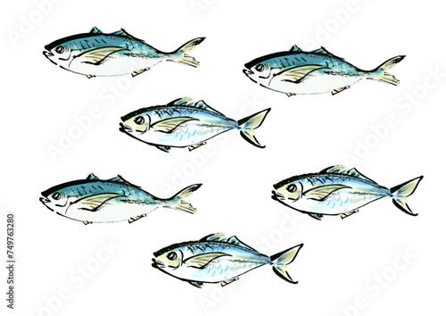 魚（鯵）のたくさんで泳ぐ和風手書きイラスト