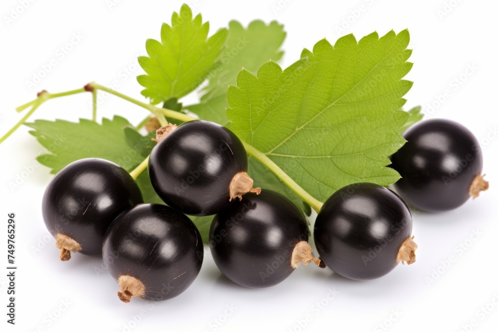 Ripe black currant berries on light background, deep depth of field, fresh and juicy food photo Ripe black currant berries on light background, deep depth of field, fresh and juicy food photo