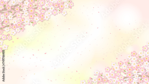 満開の桜の背景フレーム cherryblossom background	
