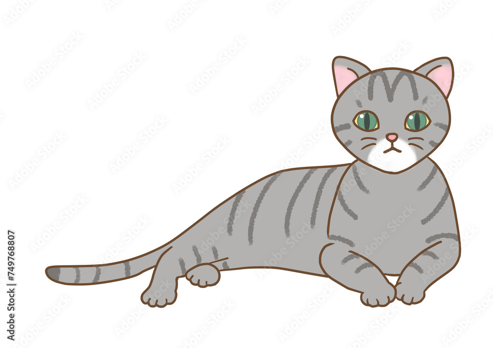 The cat with green eyes with gray stripes cat is in a relaxed position, raising his upper body and staring straight at the front. The cat with green eyes with gray stripes cat is in a relaxed position, raising his upper body and staring straight at the front.