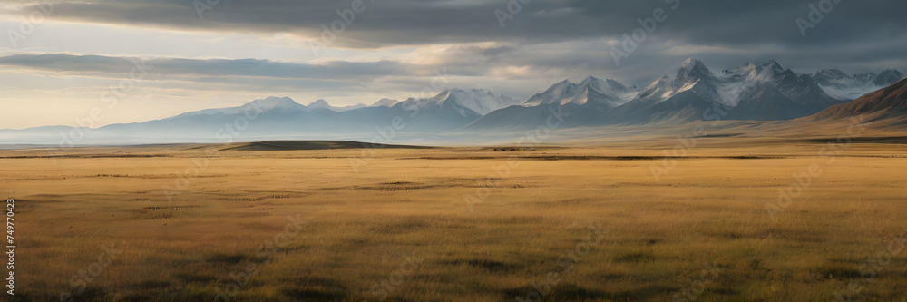 Guided Horizon: Expansive Grassland Leading to Distant Mountains. 3:1 Banners and Landscape Backgrounds, Perfect for Expansive Visual Themes