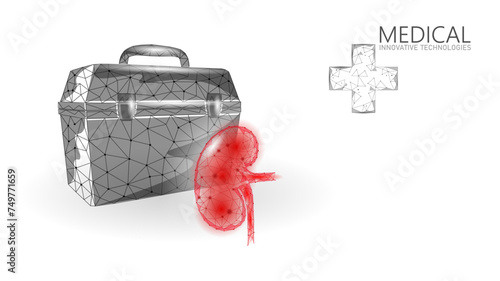 3D human kidneys transplantation case. Red low poly kidneys anatomy organ. Polygonal donor medicine patient help donation vector illustration