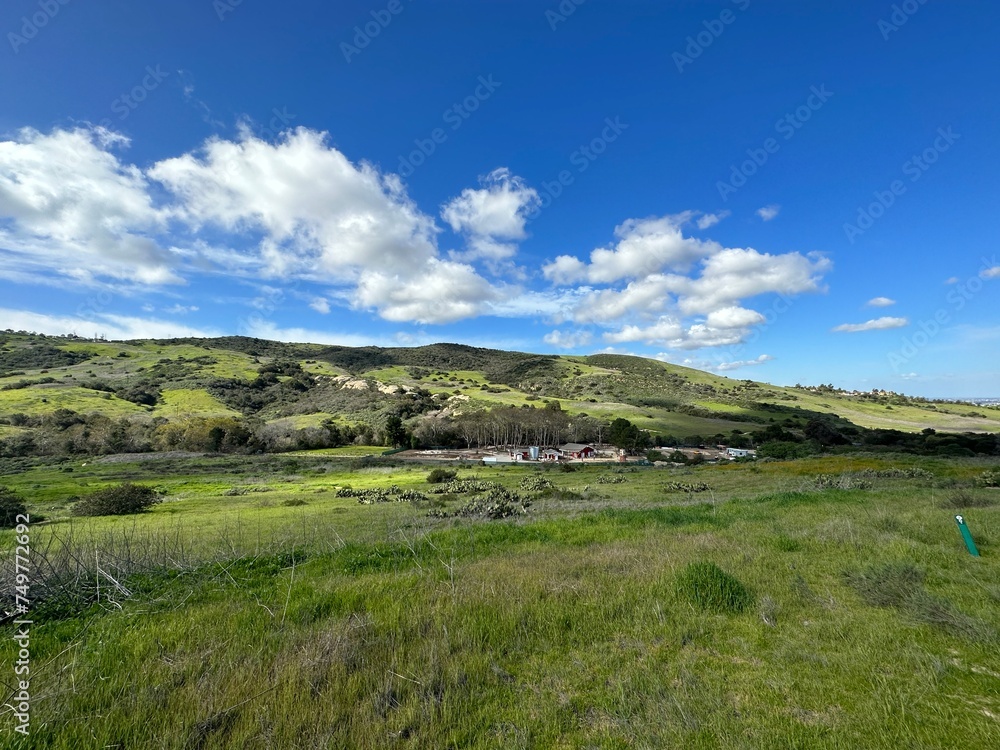 Shady Canyon Irvine California after rain 