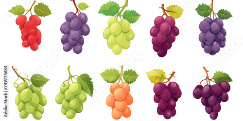 flat art collection of grapes isolated on a white background as transparent PNG