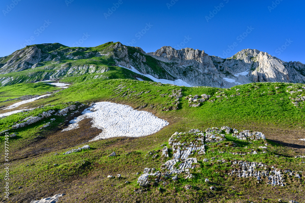 The snow-capped mountain peaks in the tropical forest. The alpine mountains and meadows.