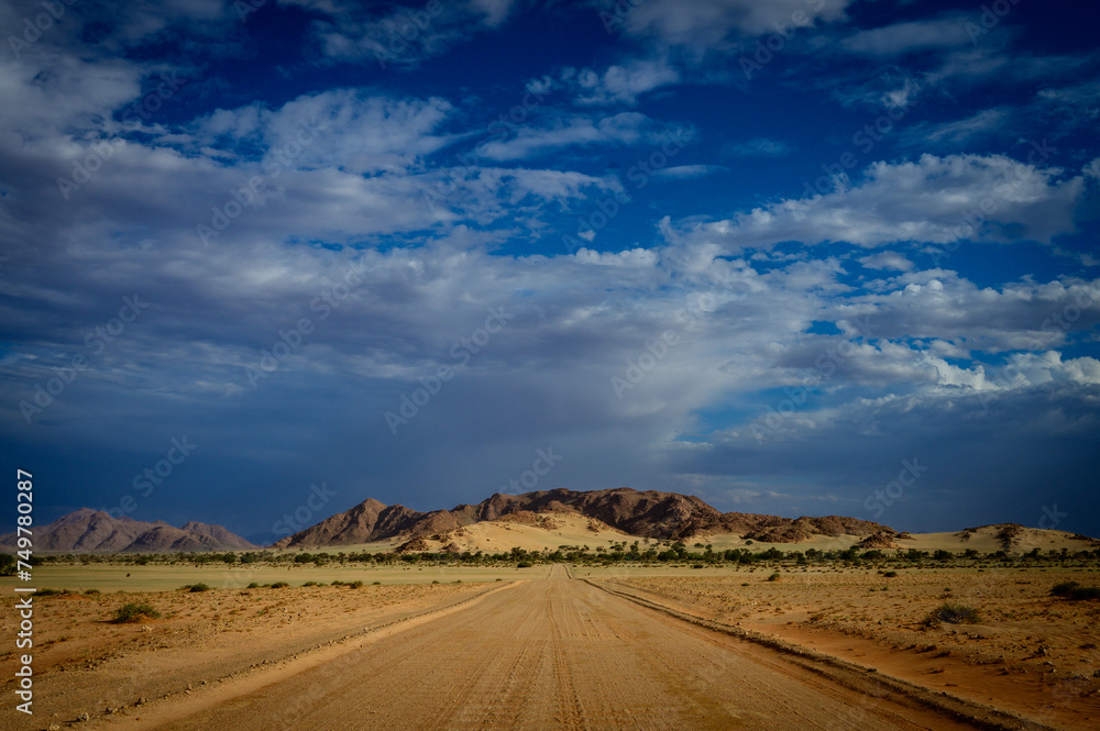 Dirt road corssing the Namib