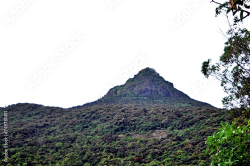 Sri padaya or Adam's peak in Sri Lanka is one of the holiest sites in the Buddhist world. People climb to the summit in order to worship a foot print of Lord Buddha as their belief.  photo