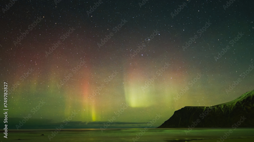 Aurora borealis over the sea. Lofoten Islands, Northern Norway. 