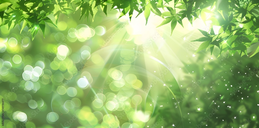 Fototapeta premium natural bokeh effect in the forest