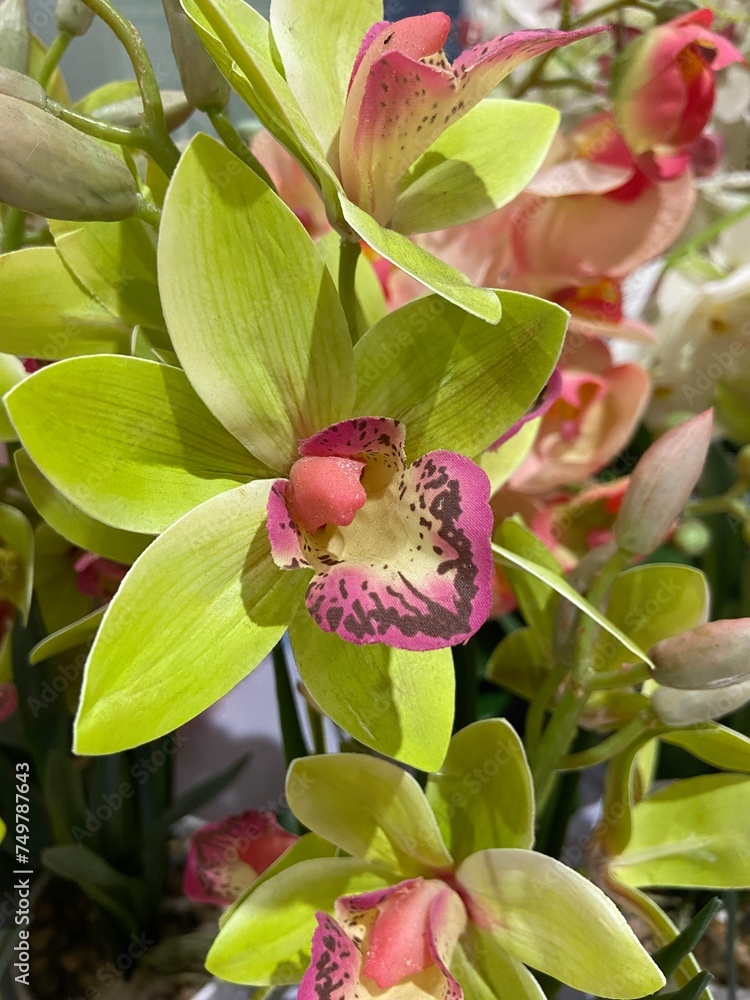 Obraz premium photo of fake flowers in the studio