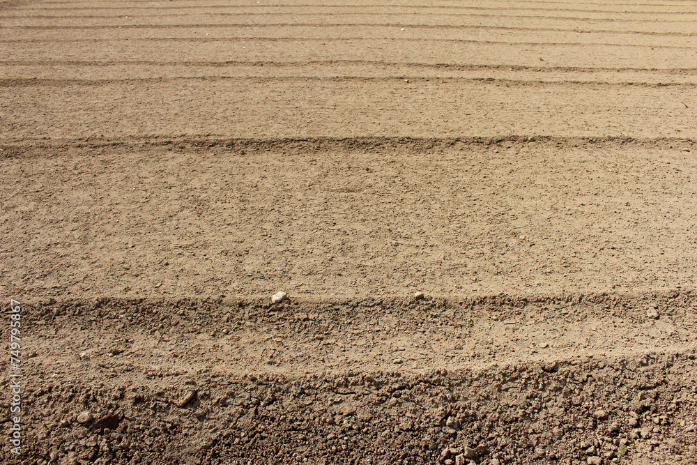 Texture of empty clean agriculture field background, empty field prepared for sowing in spring Texture of empty clean agriculture field background, empty field prepared for sowing in spring