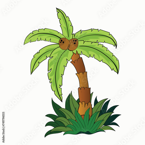 coconut illustrationst tree stylized isolated green plants for your  photo