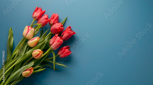 red tulips on blue background
