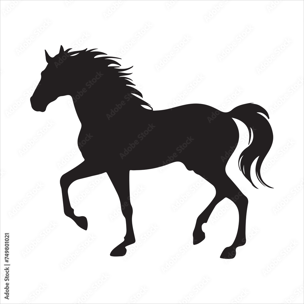 Horses silhouette vector illustration,Horse silhouettes