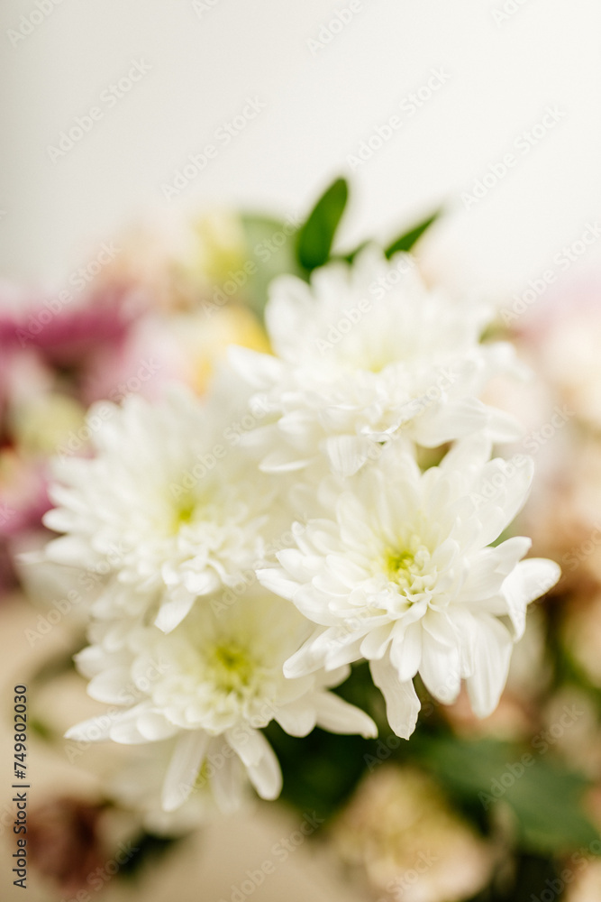 A bouquet of yellow and pink asters and gerbers in a glass vase against the backdrop of a window with rays of sun. Yellow and white flowers close up in the interior. Mother's day background. Mockups A bouquet of yellow and pink asters and gerbers in a glass vase against the backdrop of a window with rays of sun. Yellow and white flowers close up in the interior. Mother's day background. Mockups
