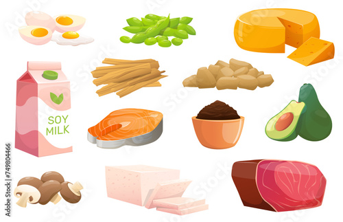 Cartoon protein sources. Vegetable products. Organic farm food. Soy sauce and miso. Fresh mushroom. Natural ingredients. Meat or fish. Tofu cheese. Eggs and avocado. Vector diet food set