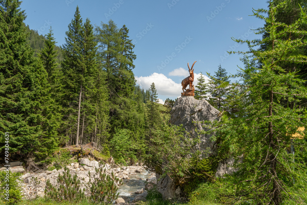 Naklejka premium View on a wooden statue of an ibex in the Austrian mountains mounted on a big rock or bolder. The hiking trail is passing. Alpine pine trees at the side. A wild river is flowing at the bottom. Imst.