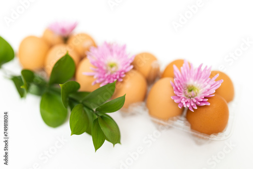Large brown organic eggs with a green bunch and pink flowers. Food on a clear white background. Mockups. Layout.