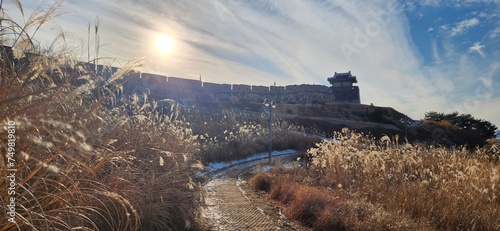 수원화성 성곽과 갈대 photo