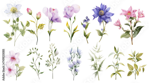 Set of watercolor wildflowers painting isolated on clear png background and transparent background. Fresh and nature concept for nature decorative and flower element, AI generative. #749820088