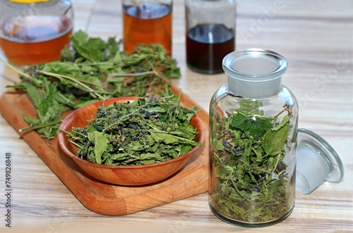 Making tincture from dried Scutellaria lateriflora, known as  blue skullcap or mad dog skull cap. Its extract is used in herbal medicine as a mild sedative and sleep promoter. photo