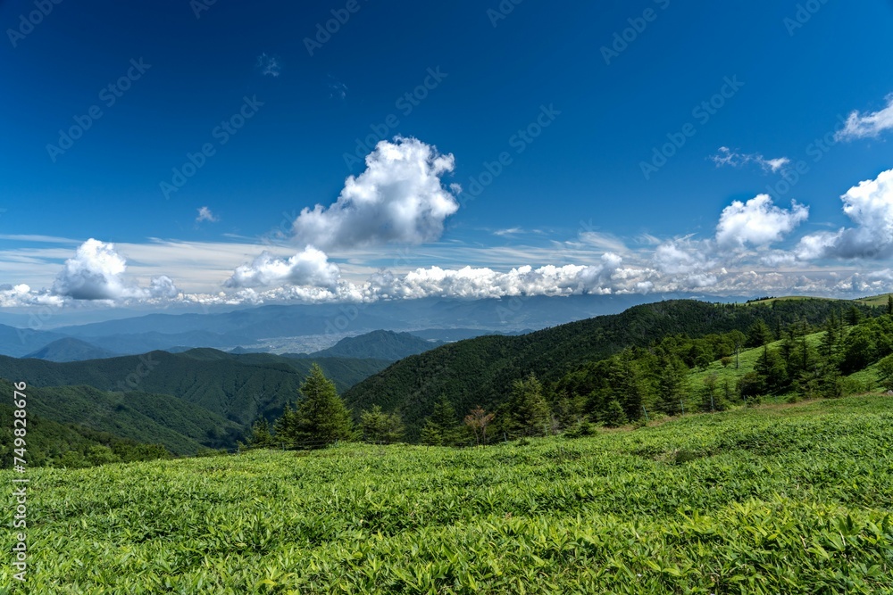 高原からの景色