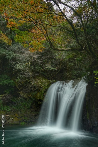 Fototapeta Naklejka Na Ścianę i Meble -  紅葉と滝