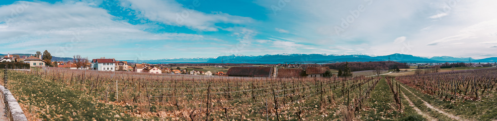 Panorama, Duillier ,  les vignes , le lac Léman et les Alpes