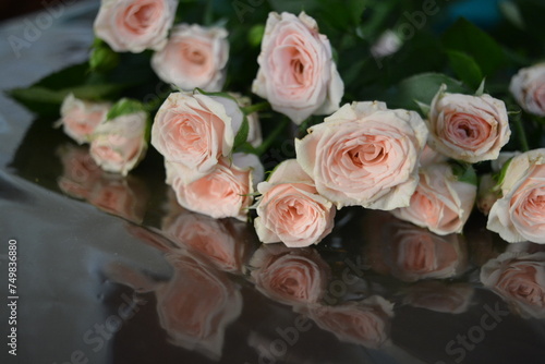 Elegant yellow pink small roses with green leaves, natural fresh chic rose pink cream color on black background.