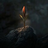 a plant sprouting out of the ground on top of a large rock in the middle of the night.