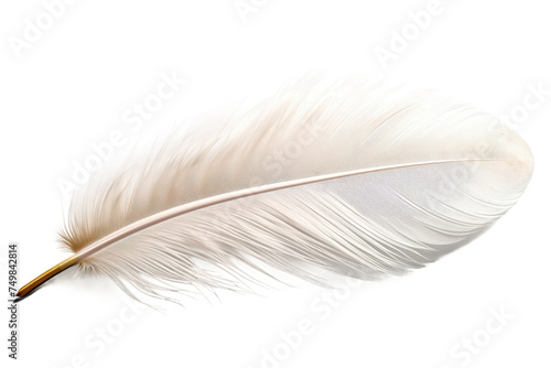 White Feather. A single white feather rests on a plain white background. The feather is delicate and light  with intricate details visible up close. on White or PNG Transparent Background.