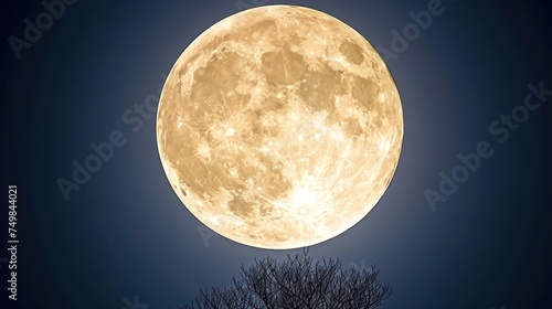 a full moon with a tree in the foreground and a dark blue sky with a few clouds in the background. photo