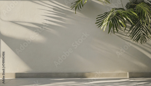 Modern summer minimal of tropical plam leaf tree branch in sunlight with long shadows on concrete plain wall background, copy space interior lifestyle Mediterranean backdrop scene © Fukurou