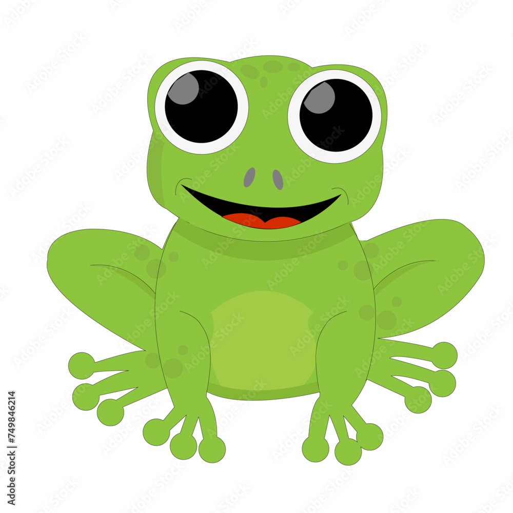 Grenouille verte de face, souriante, avec de grands yeux, sur fond blanc Grenouille verte de face, souriante, avec de grands yeux, sur fond blanc