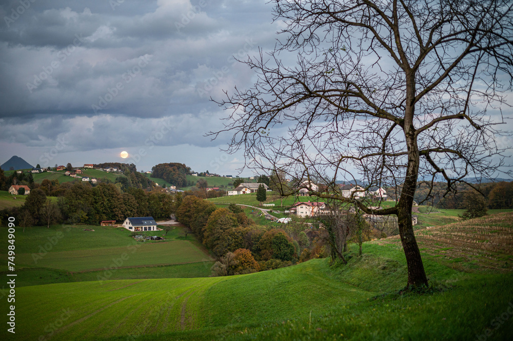 Obraz premium landscape with trees and full moon