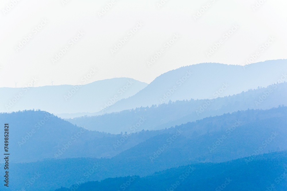 Fototapeta premium 伊豆の山々