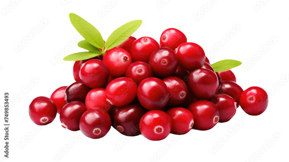 A Pile of Cranberries With Leaves on Top. A collection of vibrant red cranberries heaped together, topped with fresh green leaves. on White or PNG Transparent Background. A Pile of Cranberries With Leaves on Top. A collection of vibrant red cranberries heaped together, topped with fresh green leaves. on White or PNG Transparent Background.