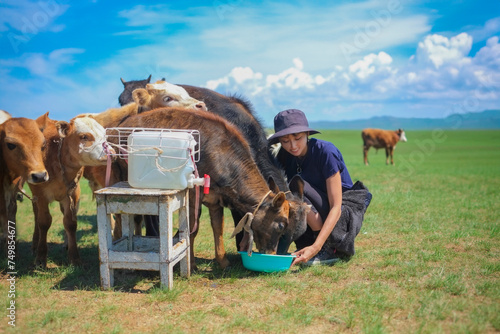 モンゴルの牛と日本人女性 photo