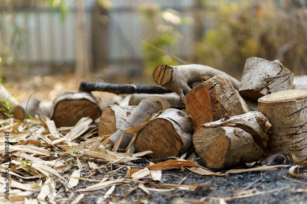 Fototapeta premium Pile of cut wood on the ground.